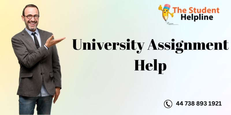 University assignment help