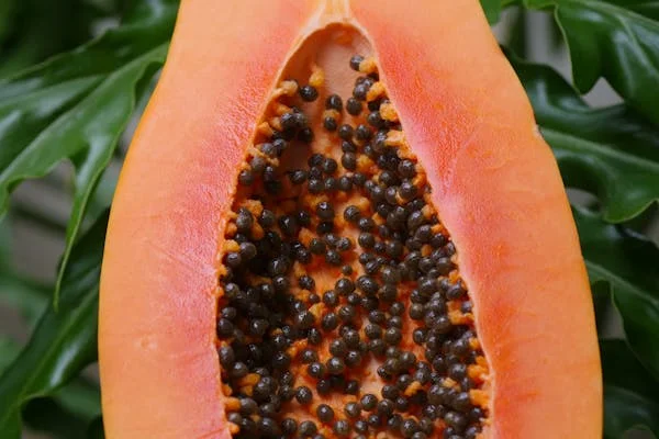 tesis de crema facacial de papaya